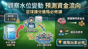 盤口教學晉階